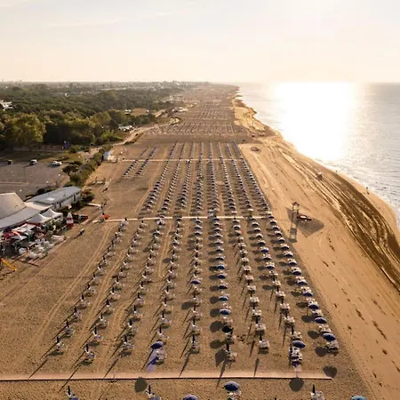 Great Flat Close To The With Garden *