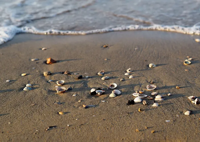 Great Flat Close To The With Garden